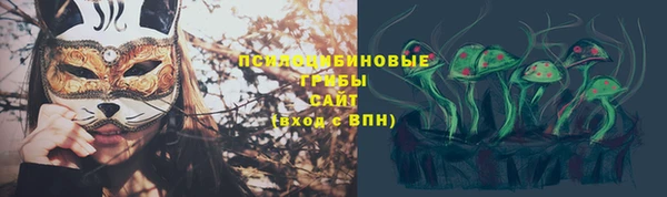 apvp Алексин