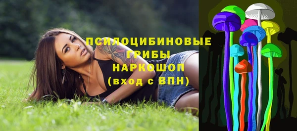 МДПВ Семилуки
