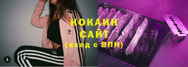 apvp Алексин