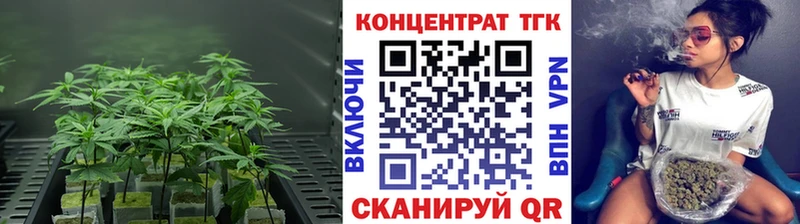 ТГК концентрат  купить закладку  Лермонтов 